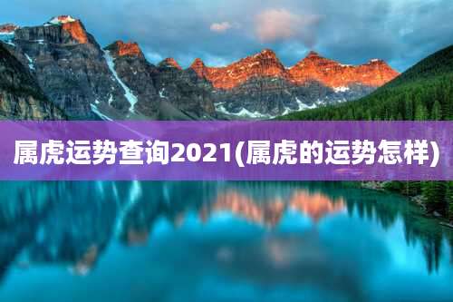 属虎运势查询2021(属虎的运势怎样)
