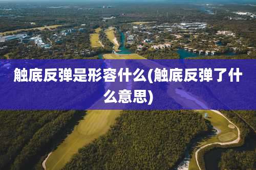 触底反弹是形容什么(触底反弹了什么意思)