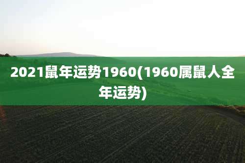 2021鼠年运势1960(1960属鼠人全年运势)