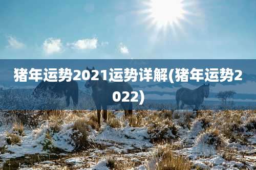 猪年运势2021运势详解(猪年运势2022)