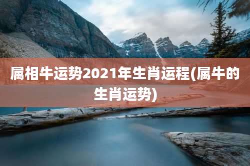 属相牛运势2021年生肖运程(属牛的生肖运势)