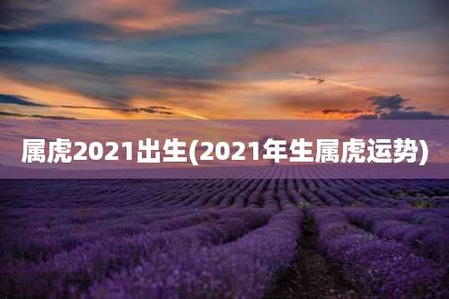 属虎2021出生(2021年生属虎运势)
