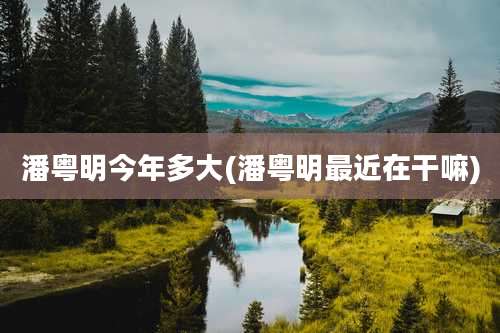 潘粤明今年多大(潘粤明最近在干嘛)