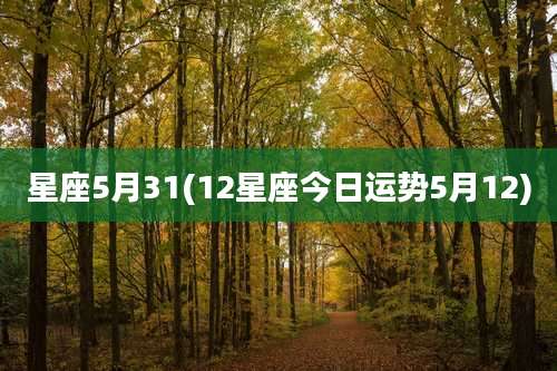 星座5月31(12星座今日运势5月12)