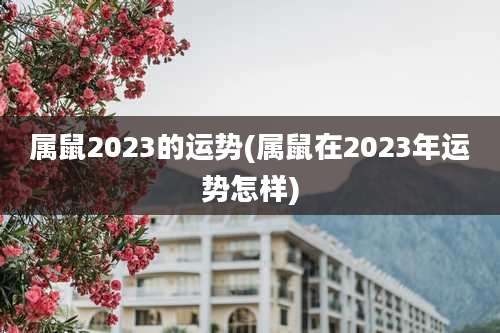 属鼠2023的运势(属鼠在2023年运势怎样)