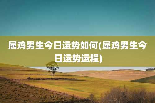 属鸡男生今日运势如何(属鸡男生今日运势运程)