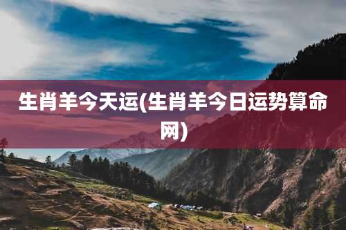 生肖羊今天运(生肖羊今日运势算命网)