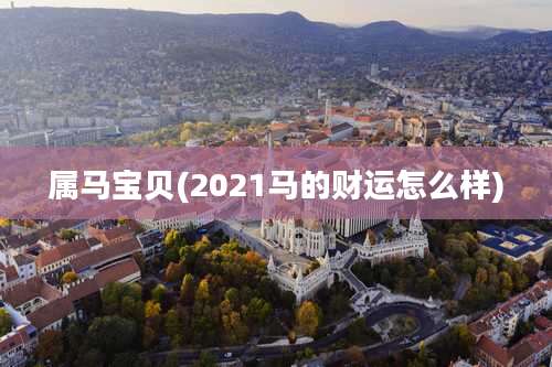 属马宝贝(2021马的财运怎么样)