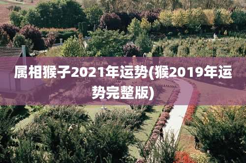 属相猴子2021年运势(猴2019年运势完整版)