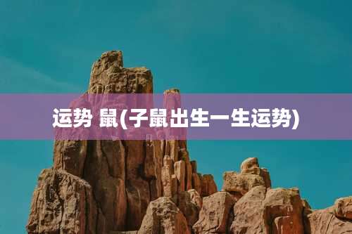 运势 鼠(子鼠出生一生运势)