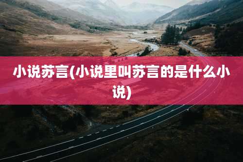 小说苏言(小说里叫苏言的是什么小说)