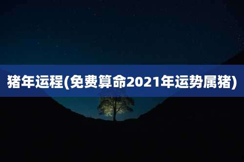 猪年运程(免费算命2021年运势属猪)