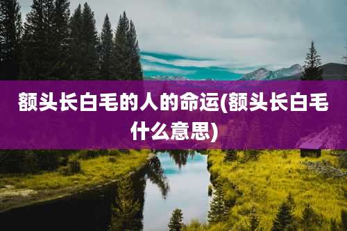 额头长白毛的人的命运(额头长白毛什么意思)