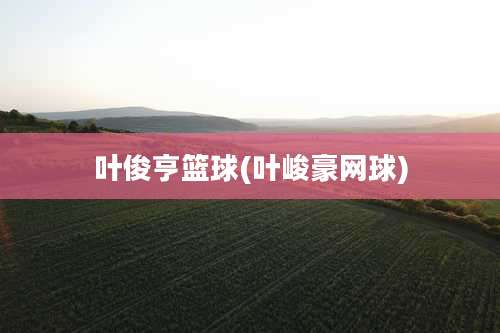 叶俊亨篮球(叶峻豪网球)