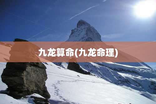 九龙算命(九龙命理)