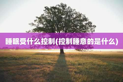 睡眠受什么控制(控制睡意的是什么)