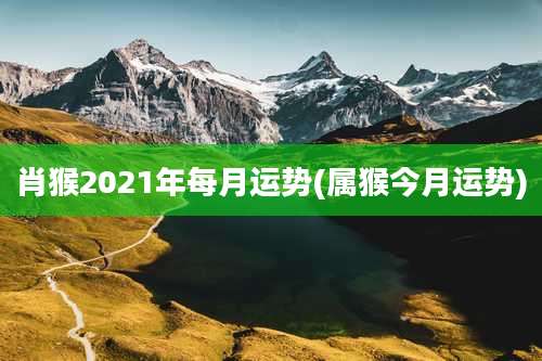 肖猴2021年每月运势(属猴今月运势)