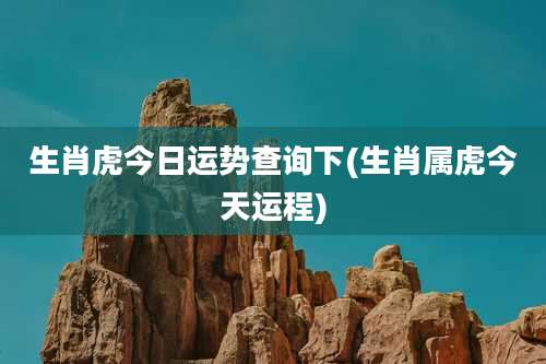 生肖虎今日运势查询下(生肖属虎今天运程)