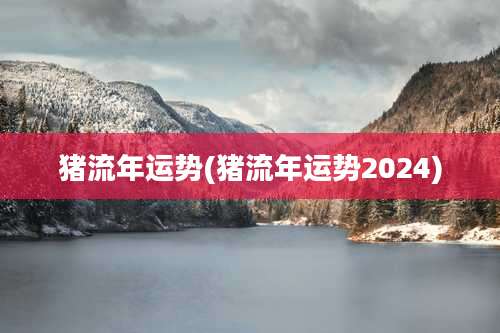 猪流年运势(猪流年运势2024)
