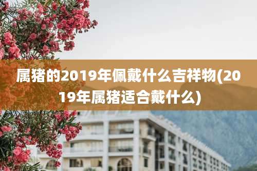 属猪的2019年佩戴什么吉祥物(2019年属猪适合戴什么)