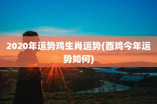 2020年运势鸡生肖运势(酉鸡今年运势如何)