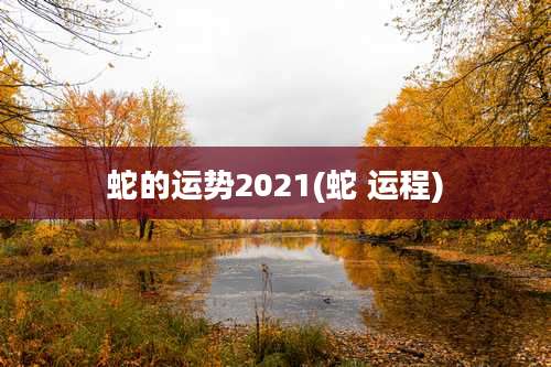 蛇的运势2021(蛇 运程)
