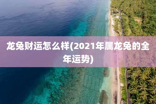 龙兔财运怎么样(2021年属龙兔的全年运势)