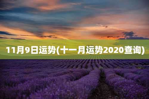 11月9日运势(十一月运势2020查询)