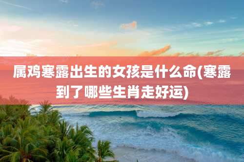 属鸡寒露出生的女孩是什么命(寒露到了哪些生肖走好运)