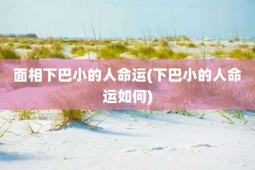 面相下巴小的人命运(下巴小的人命运如何)