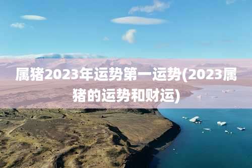 属猪2023年运势第一运势(2023属猪的运势和财运)