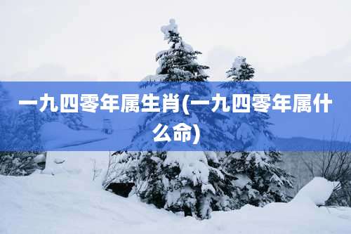 一九四零年属生肖(一九四零年属什么命)