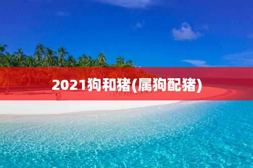 2021狗和猪(属狗配猪)