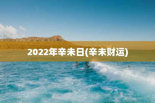 2022年辛未日(辛未财运)
