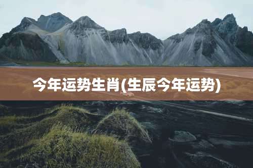 今年运势生肖(生辰今年运势)