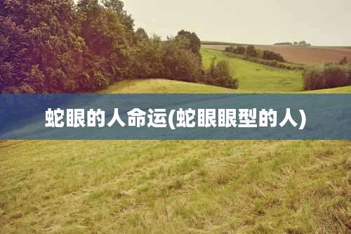 蛇眼的人命运(蛇眼眼型的人)