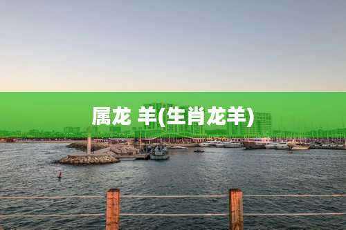 属龙 羊(生肖龙羊)