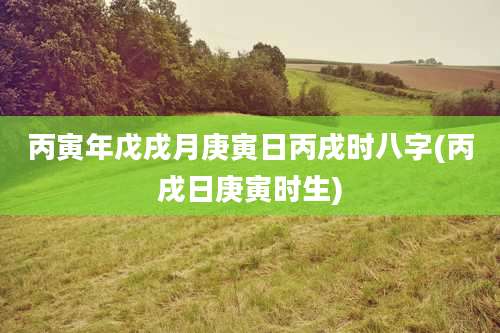 丙寅年戊戌月庚寅日丙戌时八字(丙戌日庚寅时生)