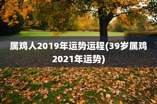属鸡人2019年运势运程(39岁属鸡2021年运势)