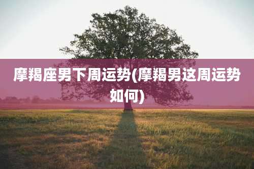 摩羯座男下周运势(摩羯男这周运势如何)