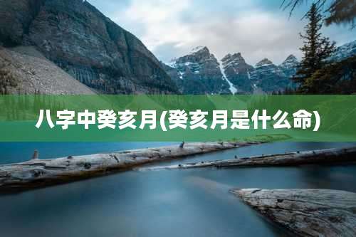 八字中癸亥月(癸亥月是什么命)