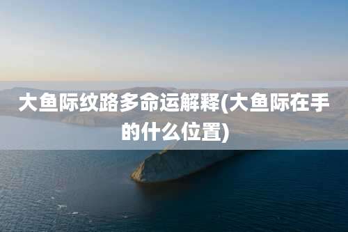 大鱼际纹路多命运解释(大鱼际在手的什么位置)