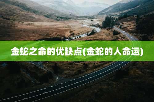 金蛇之命的优缺点(金蛇的人命运)
