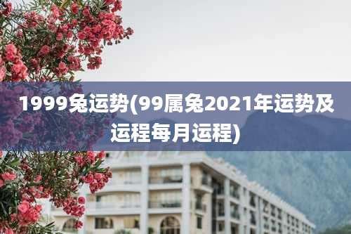 1999兔运势(99属兔2021年运势及运程每月运程)