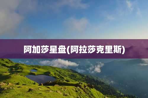 阿加莎星盘(阿拉莎克里斯)