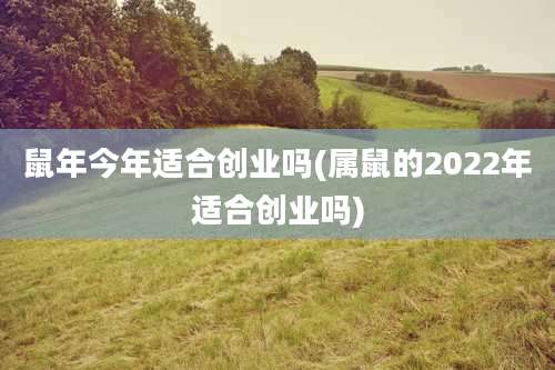 鼠年今年适合创业吗(属鼠的2022年适合创业吗)