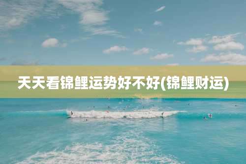 天天看锦鲤运势好不好(锦鲤财运)