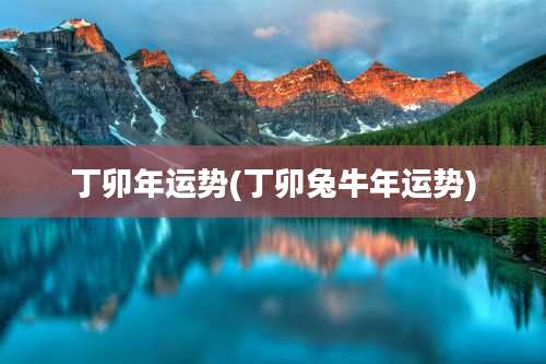 丁卯年运势(丁卯兔牛年运势)