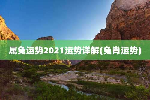 属兔运势2021运势详解(兔肖运势)
