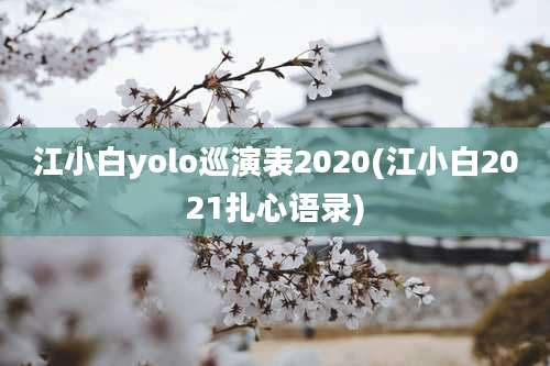 江小白yolo巡演表2020(江小白2021扎心语录)